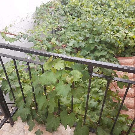 Melon-1, Murter, House For Rest Екстериор снимка