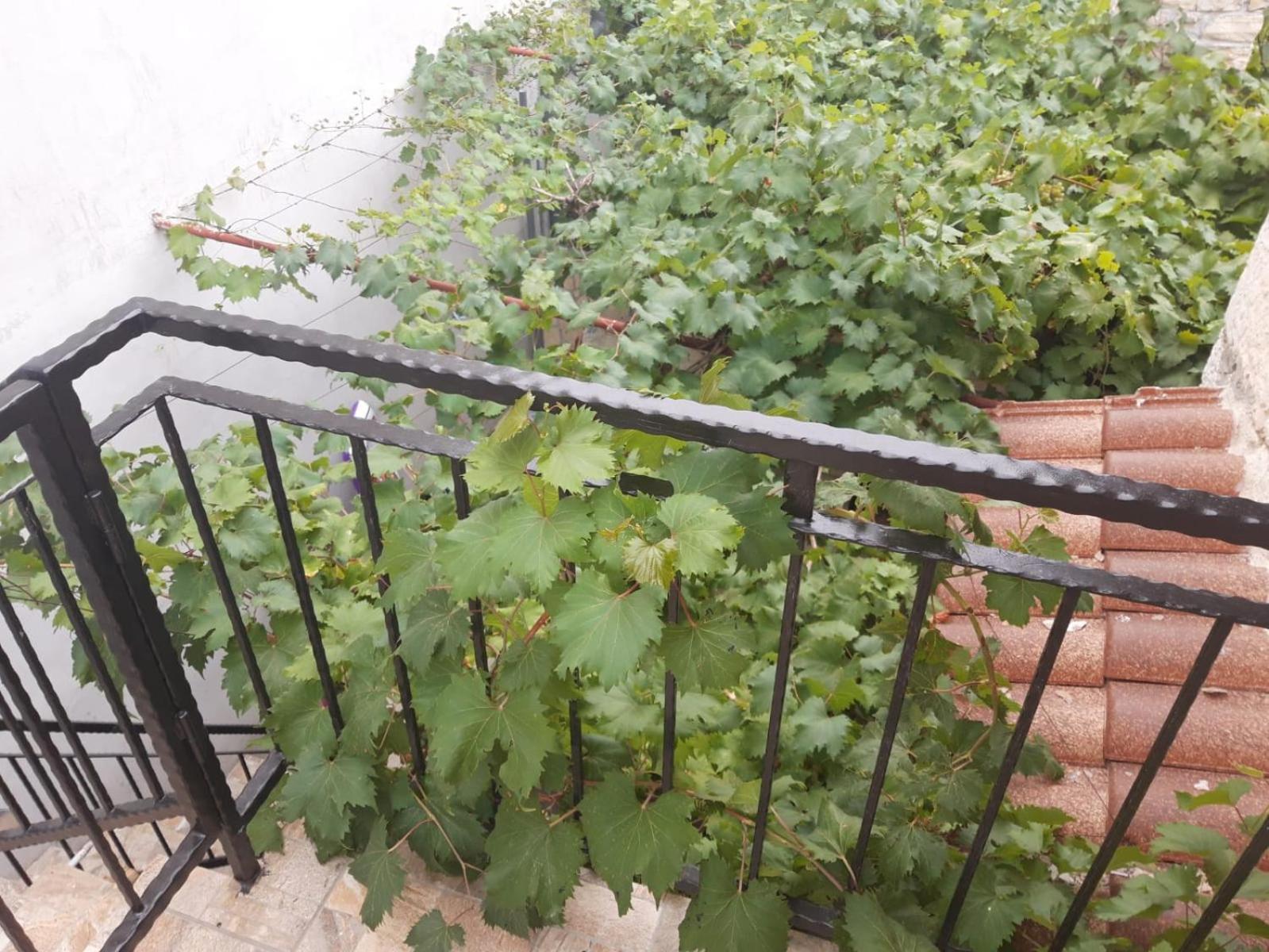 Melon-1, Murter, House For Rest Екстериор снимка